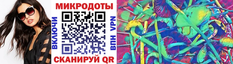 Псилоцибиновые грибы Psilocybe  Трубчевск 